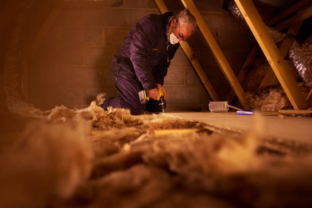 Best Geographic-Specific Insulation Services in Toledo, OR